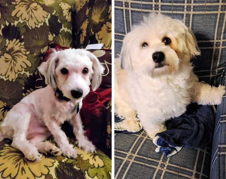 Ảnh: BrightSide Ảnh: BrightSide