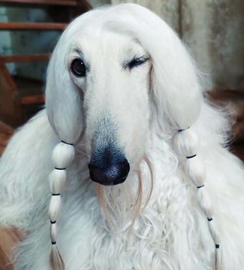 Ảnh: BrightSide Ảnh: BrightSide