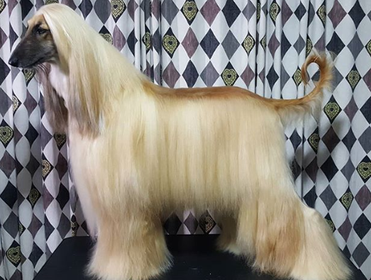 Ảnh: BrightSide Ảnh: BrightSide