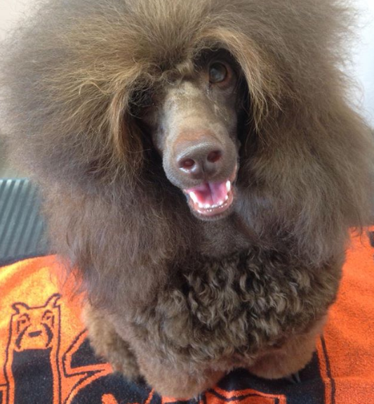 Ảnh: BrightSide Ảnh: BrightSide