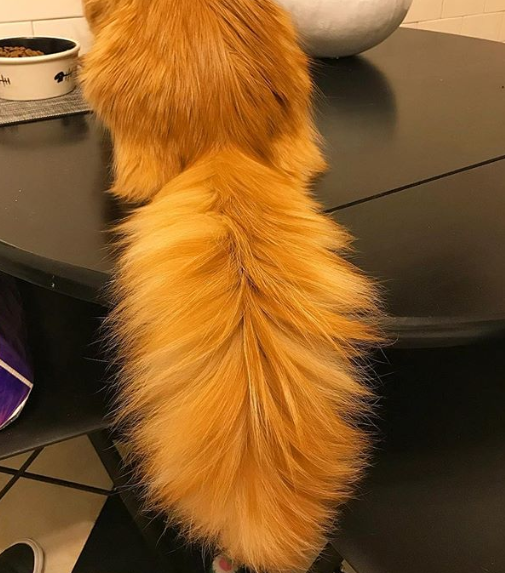 Ảnh: BrightSide Ảnh: BrightSide