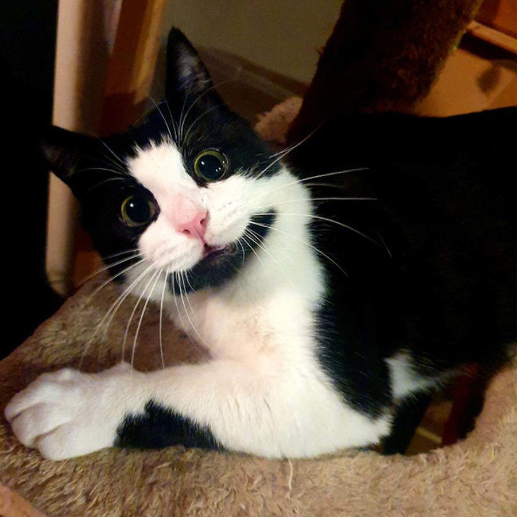 Ảnh: BrightSide Ảnh: BrightSide