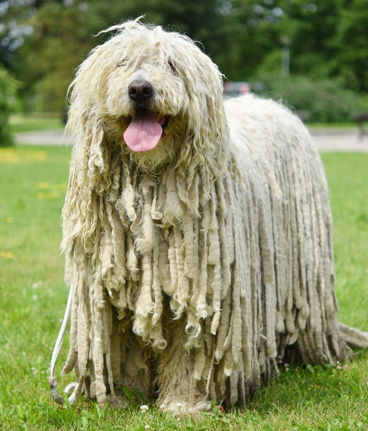 Ảnh: BrightSide Ảnh: BrightSide