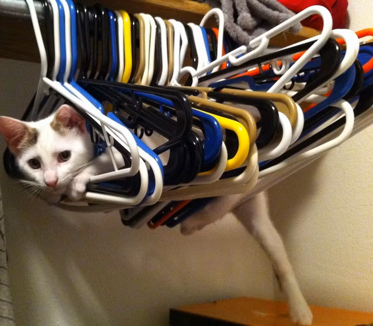 Ảnh: BrightSide Ảnh: BrightSide