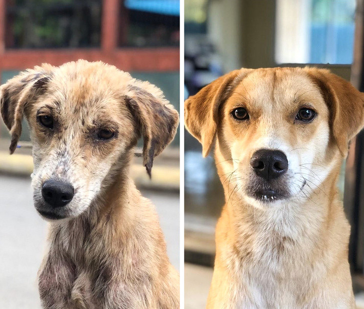 Ảnh: BrightSide Ảnh: BrightSide