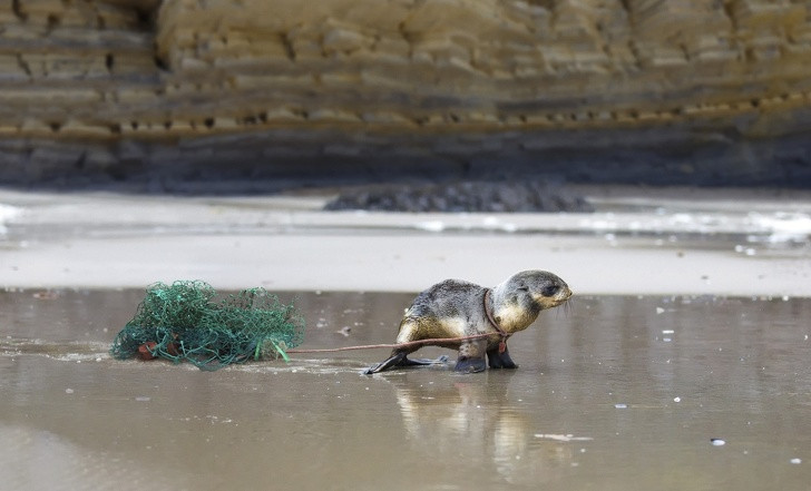 Ảnh: BrightSide Ảnh: BrightSide