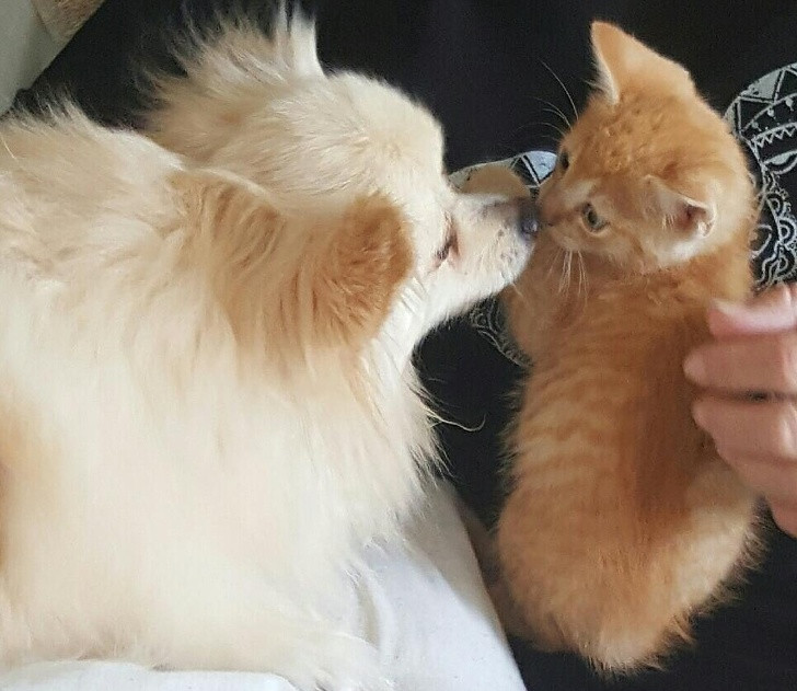 Ảnh: BrightSide Ảnh: BrightSide