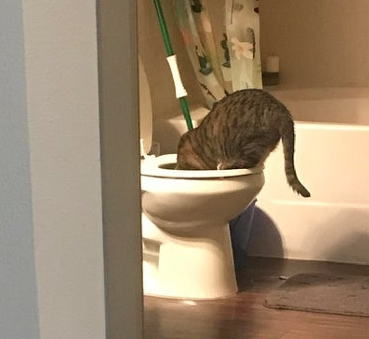 Ảnh: BrightSide Ảnh: BrightSide