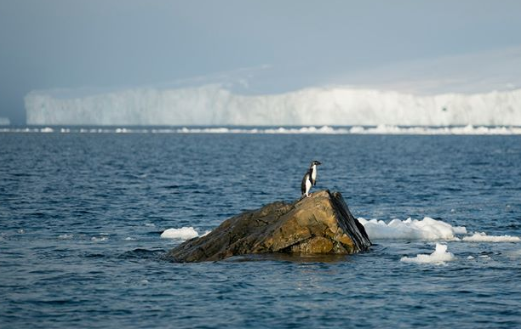 Ảnh: BrightSide Ảnh: BrightSide