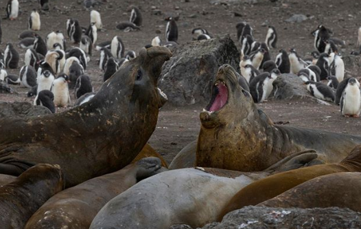 Ảnh: BrightSide Ảnh: BrightSide