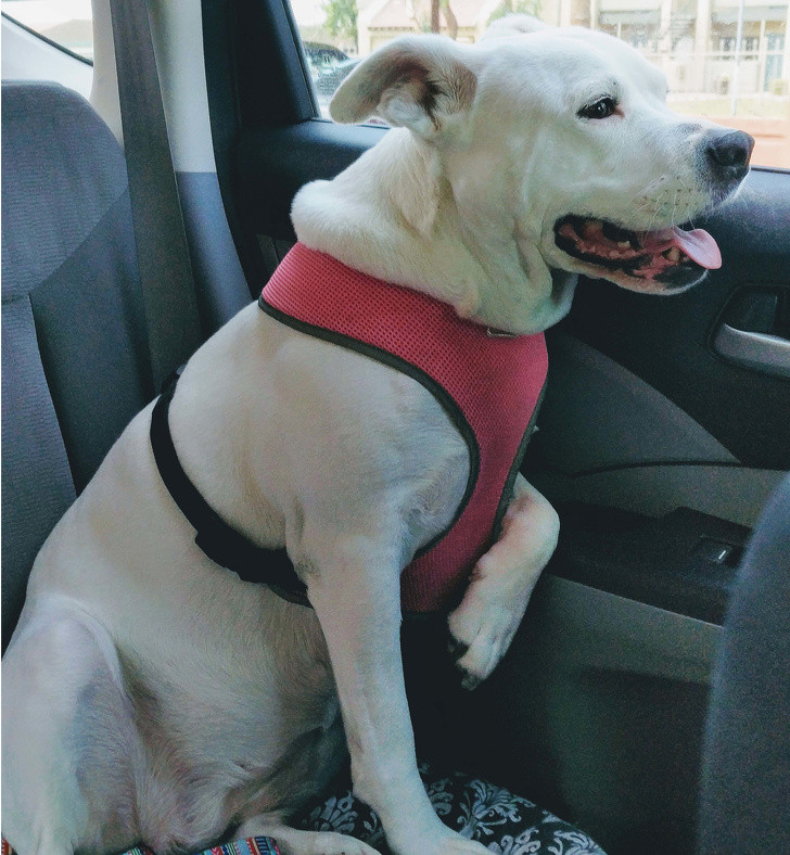 Ảnh: BrightSide Ảnh: BrightSide