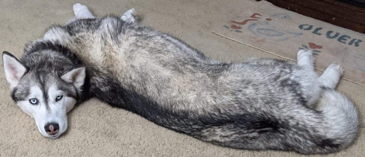 Ảnh: BrightSide Ảnh: BrightSide