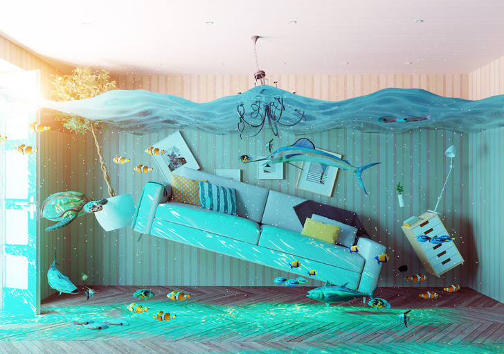 Ảnh: BrightSide Ảnh: BrightSide