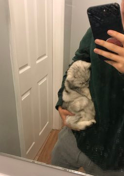 Ảnh: BrightSide Ảnh: BrightSide