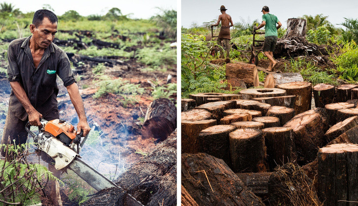 Ảnh: BrightSide Ảnh: BrightSide