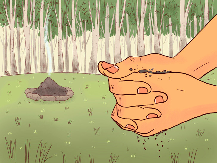 Ảnh: BrightSide Ảnh: BrightSide