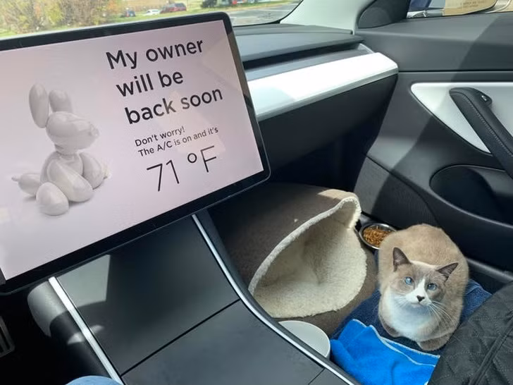 Ảnh:BrightSide Ảnh:BrightSide