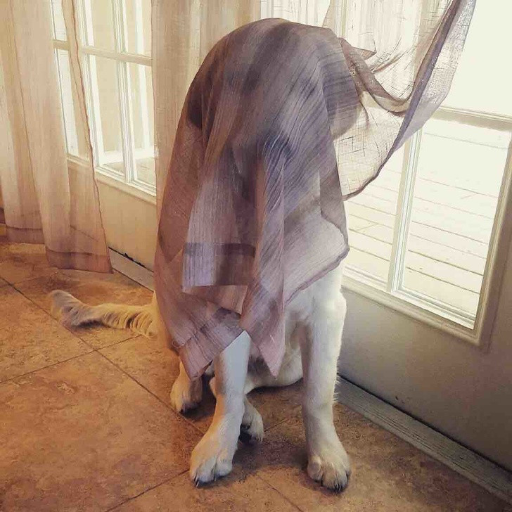 Ảnh: BrightSide Ảnh: BrightSide