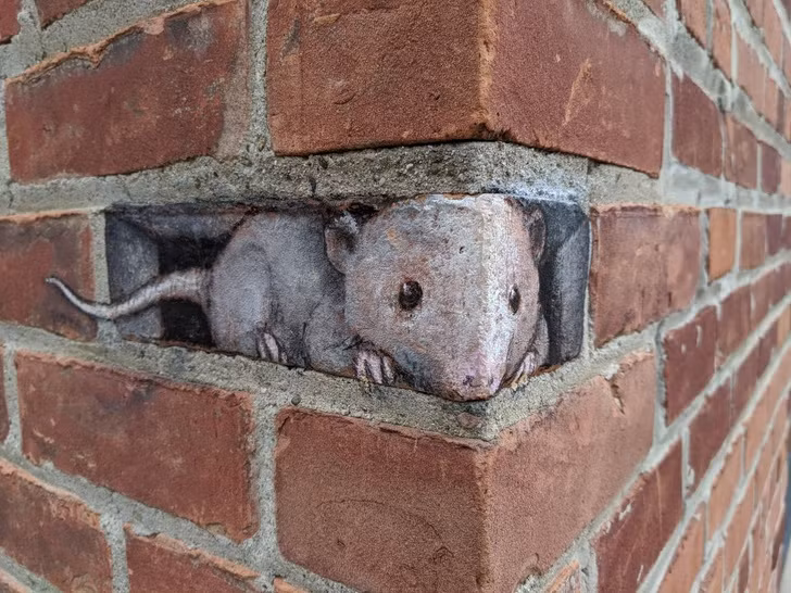 Ảnh: BrightSide Ảnh: BrightSide