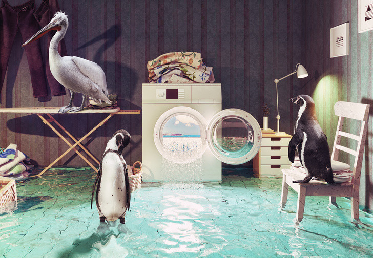 Ảnh: BrightSide Ảnh: BrightSide