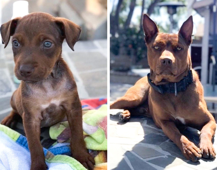 Ảnh: BrightSide Ảnh: BrightSide