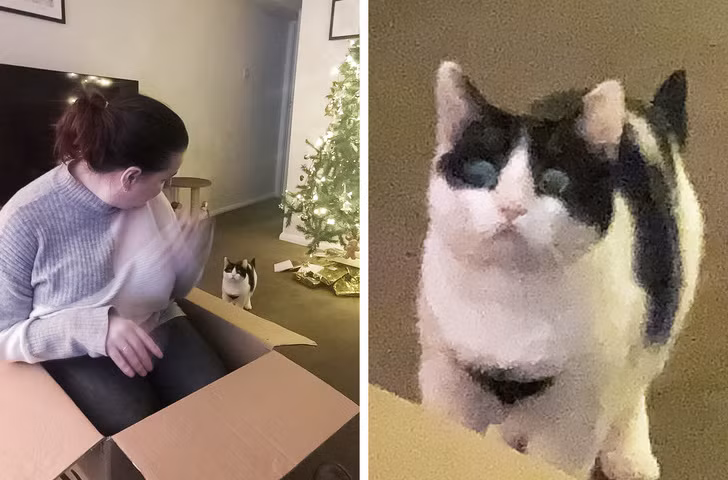 Ảnh:BrightSide Ảnh:BrightSide