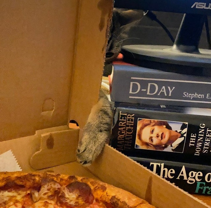 Ảnh: BrightSide Ảnh: BrightSide