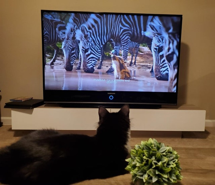 Ảnh: BrightSide Ảnh: BrightSide