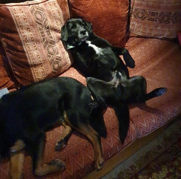 Ảnh: BrightSide Ảnh: BrightSide