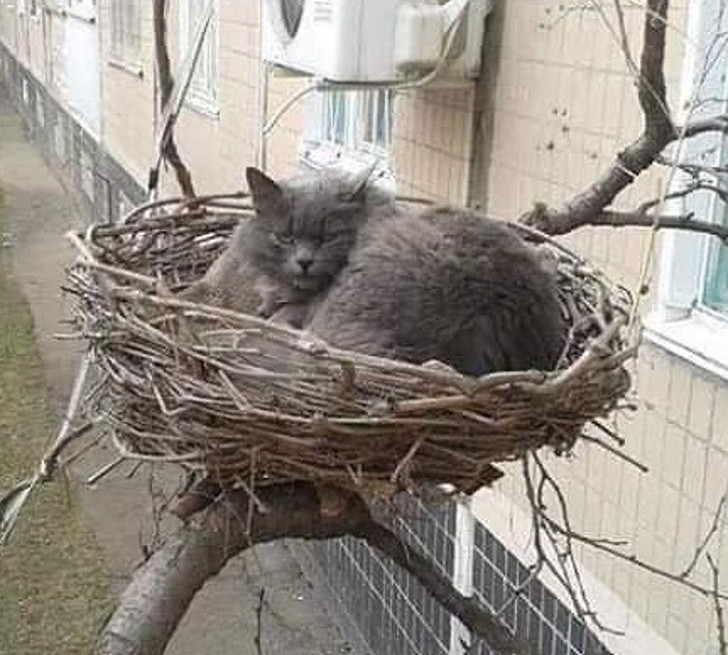 Ảnh: BrightSide Ảnh: BrightSide