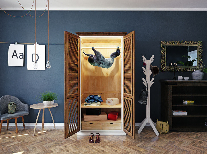 Ảnh: BrightSide Ảnh: BrightSide