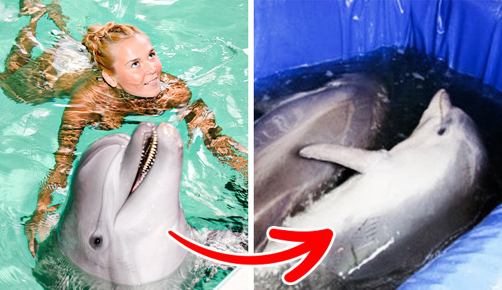 Ảnh: BrightSide Ảnh: BrightSide