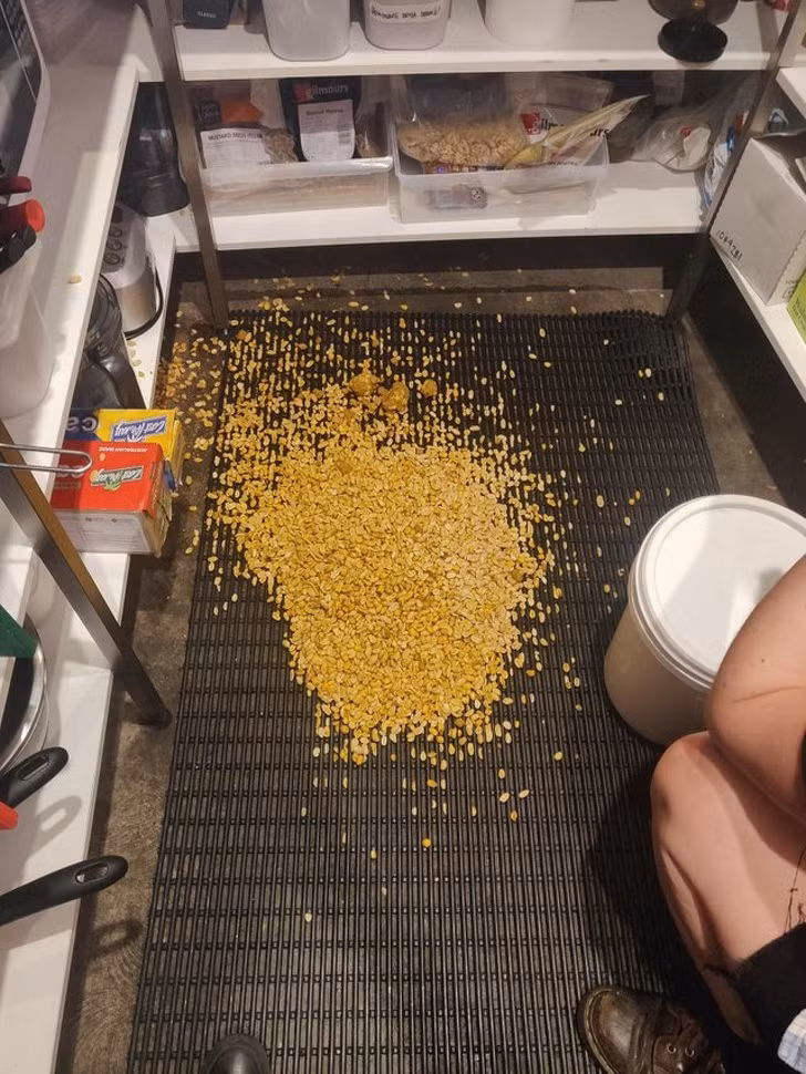 Ảnh: BrightSide Ảnh: BrightSide