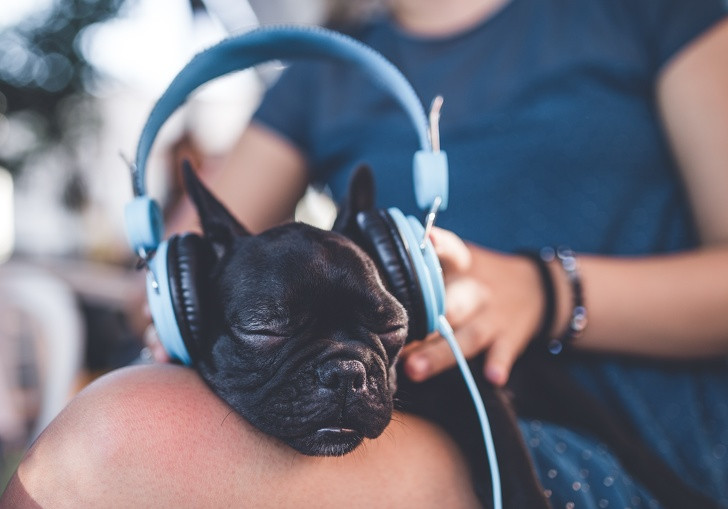 Ảnh: BrightSide Ảnh: BrightSide