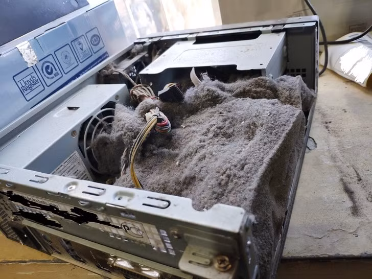 Ảnh: BrightSide Ảnh: BrightSide