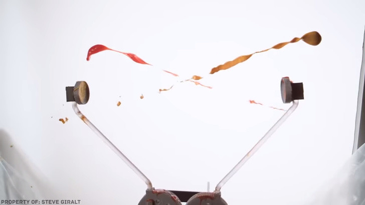 Ảnh: BrightSide Ảnh: BrightSide