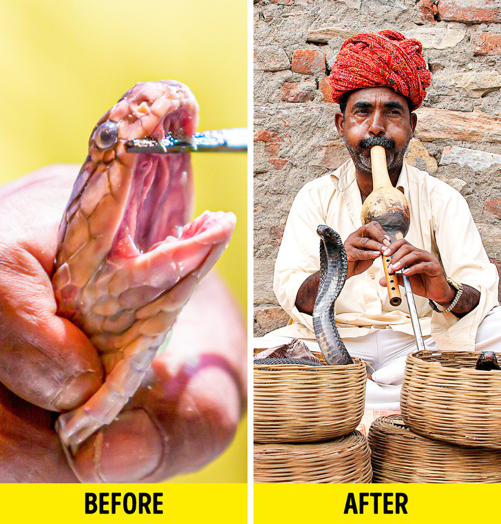 Ảnh: BrightSide Ảnh: BrightSide