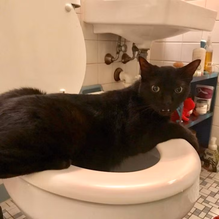 Ảnh: BrightSide Ảnh: BrightSide