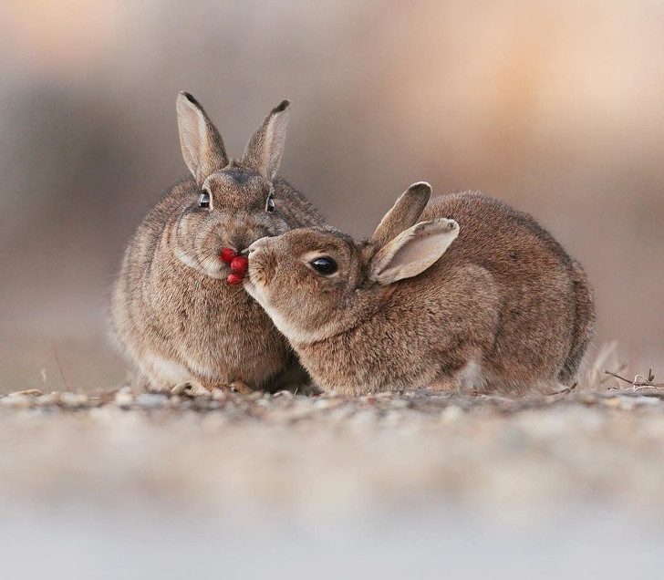 Ảnh: BrightSide Ảnh: BrightSide