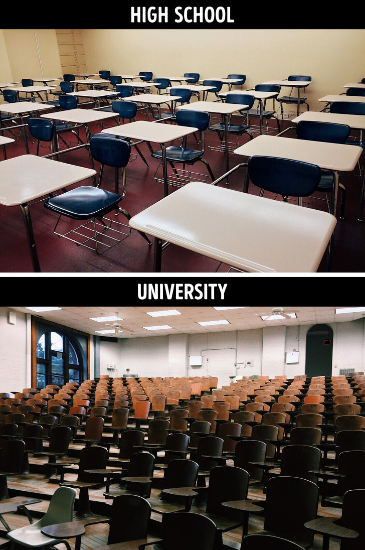 Ảnh: BrightSide Ảnh: BrightSide