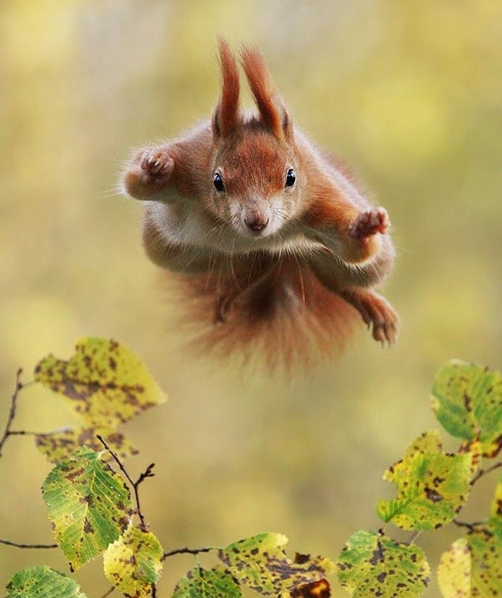 Ảnh:BrightSide Ảnh:BrightSide