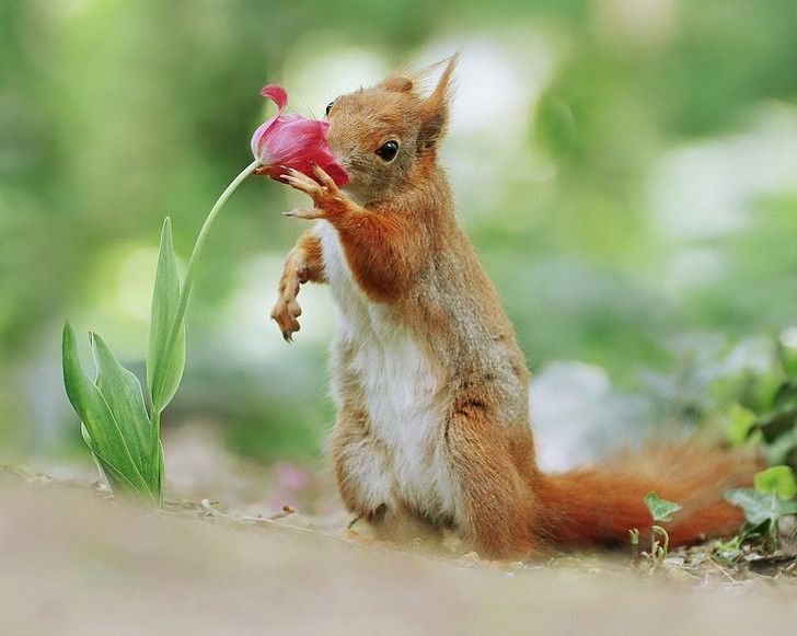 Ảnh: BrightSide Ảnh: BrightSide