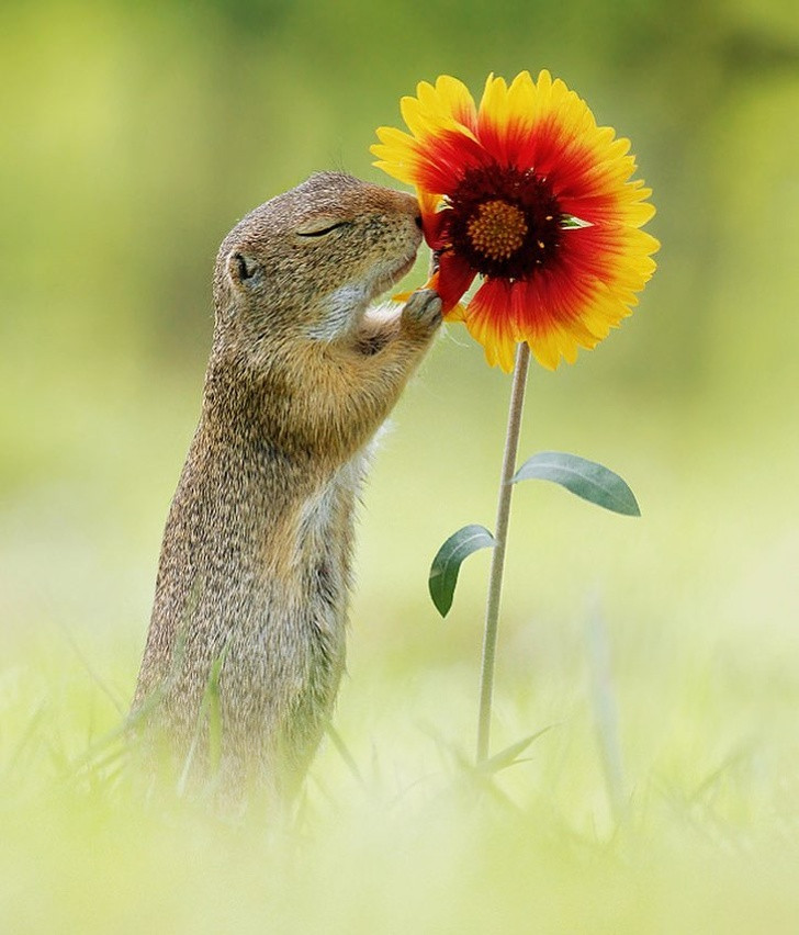 Ảnh: BrightSide Ảnh: BrightSide