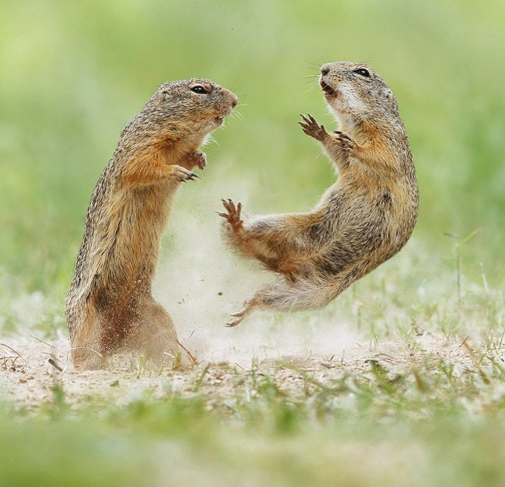 Ảnh: BrightSide Ảnh: BrightSide