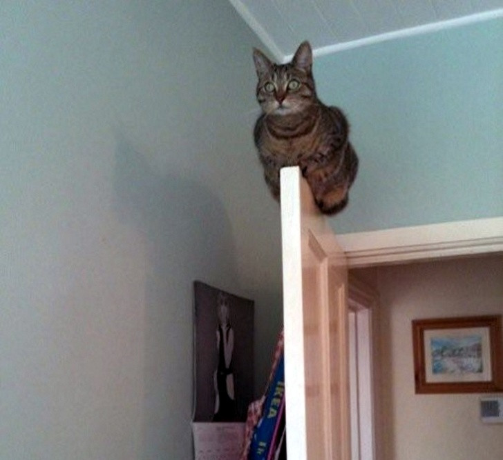 Ảnh: BrightSide Ảnh: BrightSide