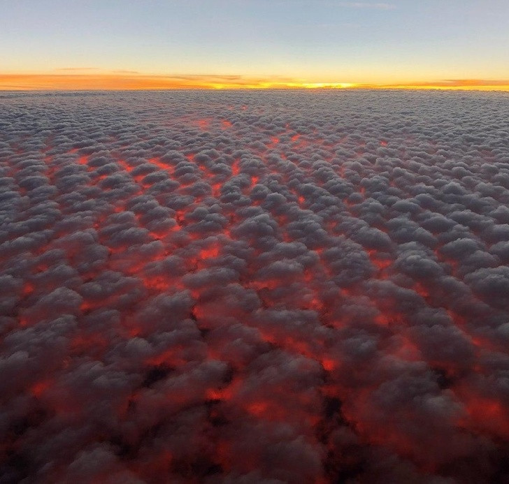 Ảnh: BrightSide Ảnh: BrightSide