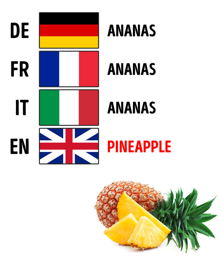 Ảnh: BrightSide Ảnh: BrightSide