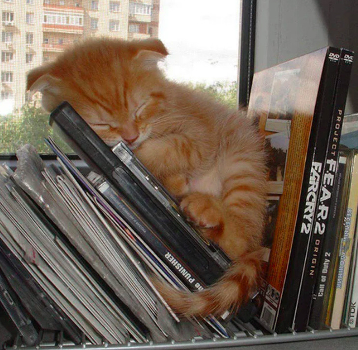 Ảnh: BrightSide Ảnh: BrightSide