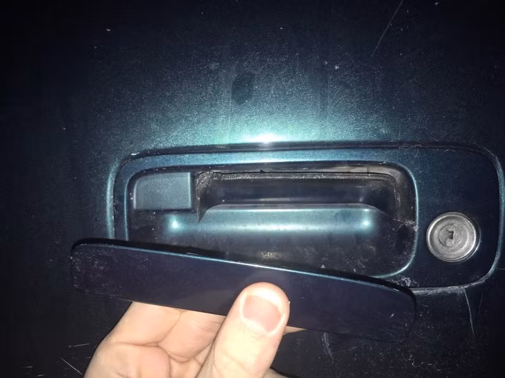 Ảnh: BrightSide Ảnh: BrightSide