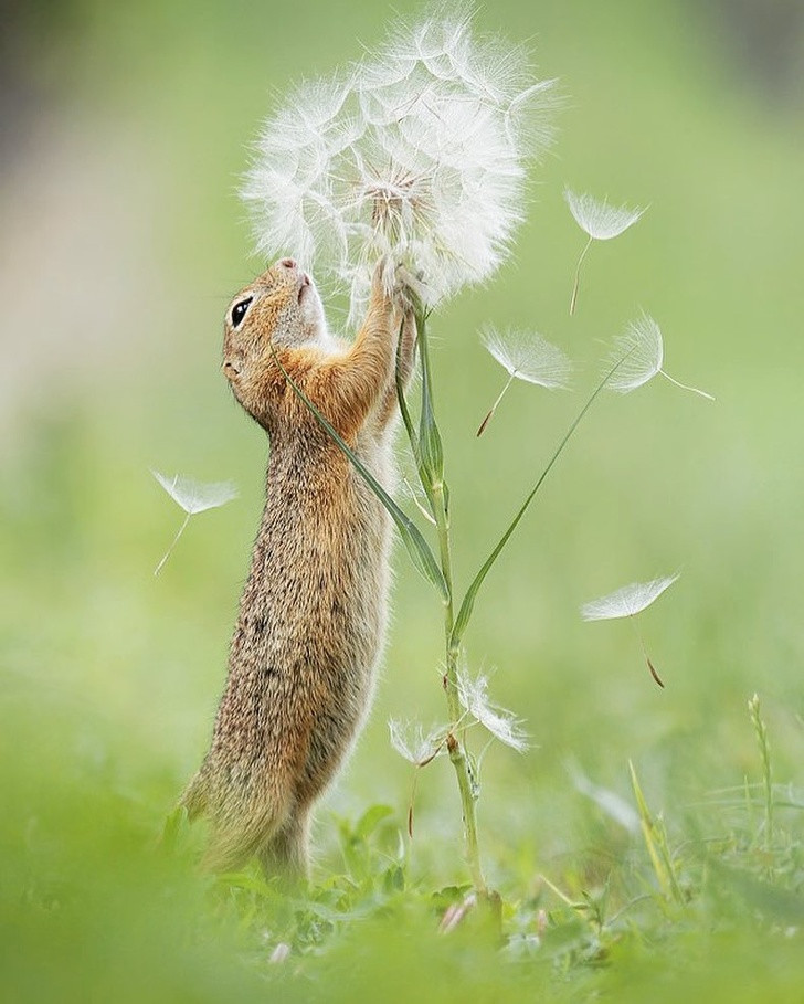 Ảnh: BrightSide Ảnh: BrightSide